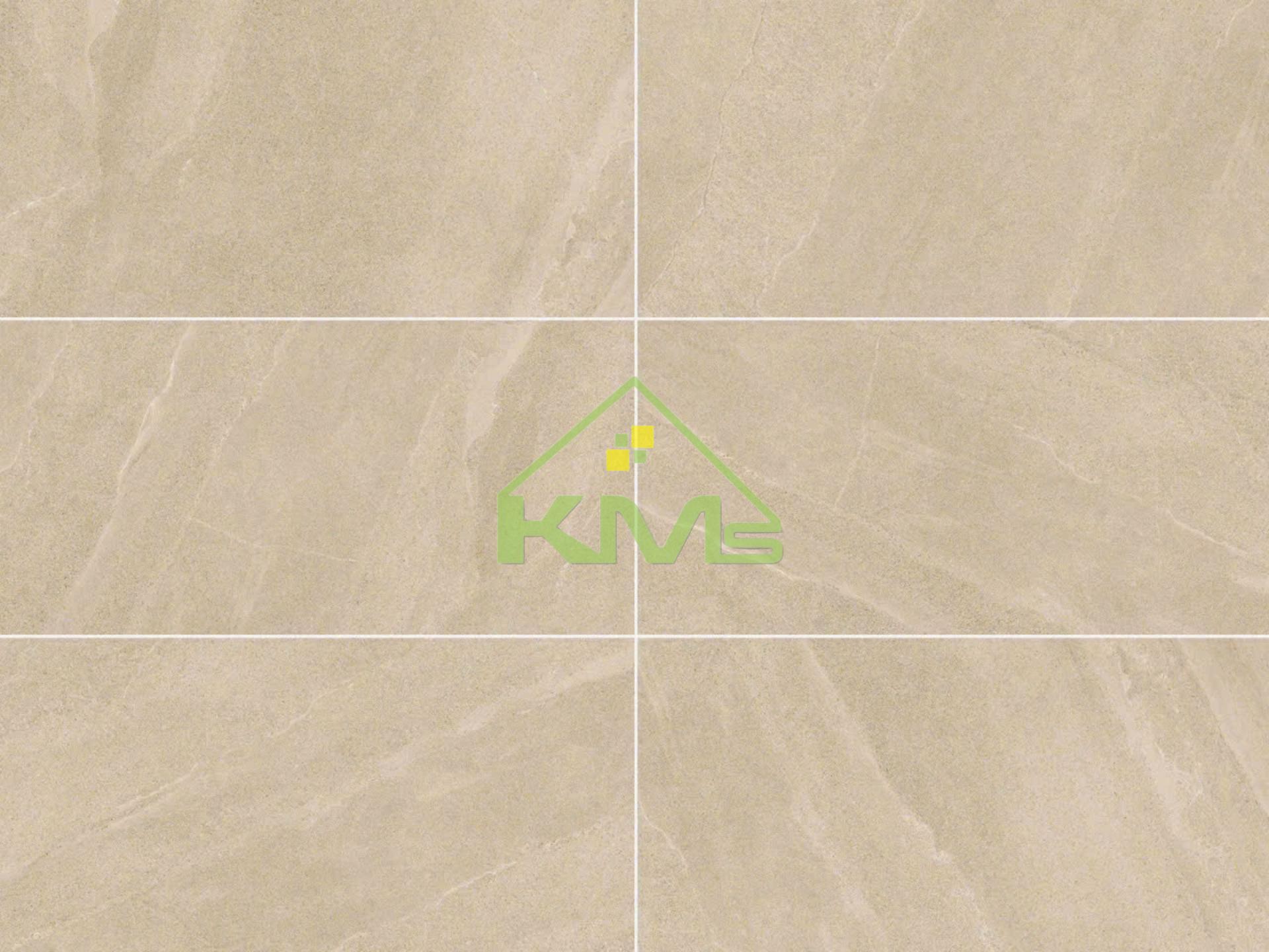 SANDSTONE Gạch Vân Đá Tự Nhiên AS126168